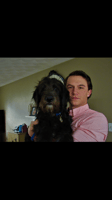 Sitter Profile Image: Kyle P.