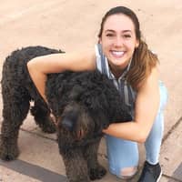 Sitter Profile Image: Ashley R.