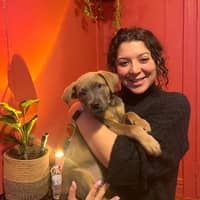 Sitter Profile Image: Taline A.