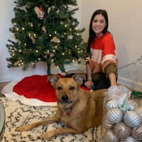 Sitter Profile Image: Danielle P.