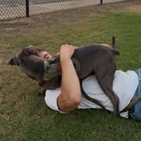 Sitter Profile Image: Samuel S.