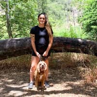 Sitter Profile Image: Ariella S.