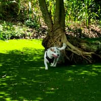 Sitter Profile Image: Rachel B.