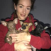 Sitter Profile Image: Melissa M.