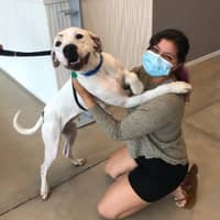 Sitter Profile Image: Dariana Q.