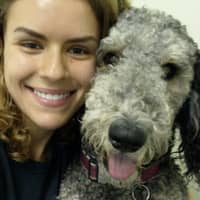 Sitter Profile Image: Csilla R.