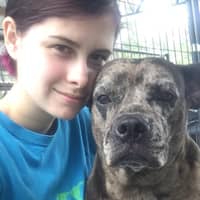 Sitter Profile Image: Madison C.