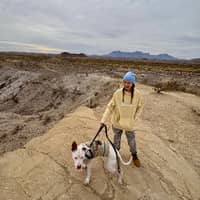 Sitter Profile Image: Lindsey W.