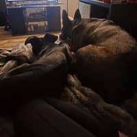 Sitter Profile Image: Melissa E.