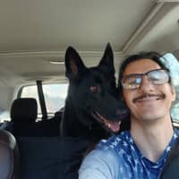 Sitter Profile Image: David D.