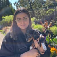 Sitter Profile Image: Simrin P.