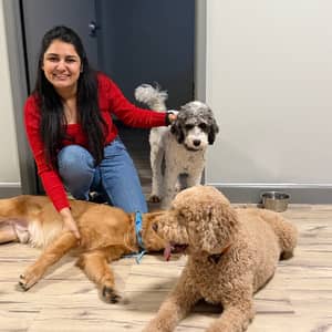 Sitter Profile Image: AMANJOT K.