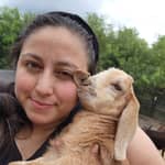 Sitter Profile Image: Susan V.