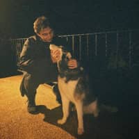 Sitter Profile Image: Nicolas L.