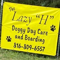 Sitter Profile Image: Nickolas H.