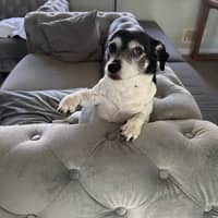 Sitter Profile Image: YU SHAN P.