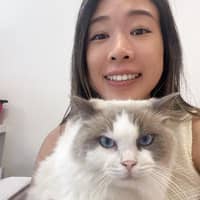 Sitter Profile Image: Sin Hang L.