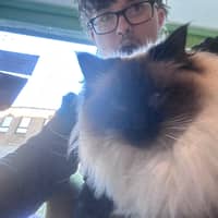 Sitter Profile Image: Kai S.