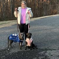 Sitter Profile Image: Nora S.