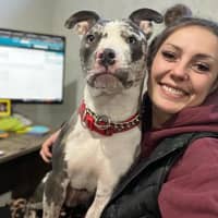 Sitter Profile Image: Alexandria A.