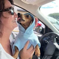 Sitter Profile Image: Jennifer A.