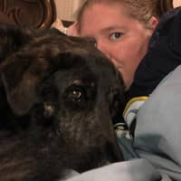 Best Dog Walkers In Saint Charles Mo Rover Com