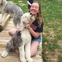 Sitter Profile Image: Abbie B.