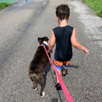 Sitter Profile Image: Amanda W.