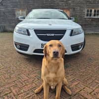 Sitter Profile Image: Nikk B.