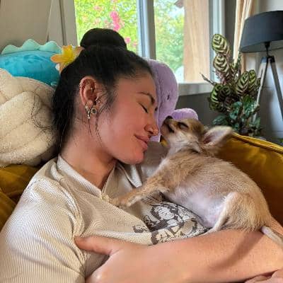 Photo de profil du pet sitter : Dina D.