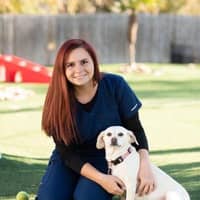 Sitter Profile Image: Tori S.