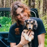 Sitter Profile Image: Dienks F.