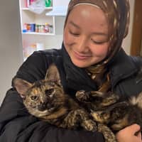 Sitter Profile Image: Keola & Chris A.