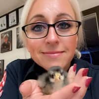 Sitter Profile Image: Brandy D.