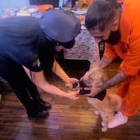 Sitter Profile Image: Ali & Priscilla A.