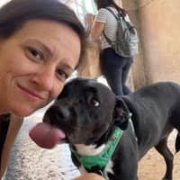 Sitter Profile Image: Michelle W.