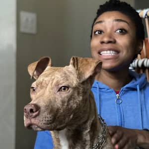 Sitter Profile Image: Alexis W.