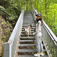 Sitter Profile Image: Yifei M.