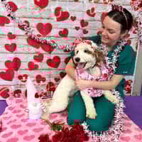 Sitter Profile Image: Brianna W.