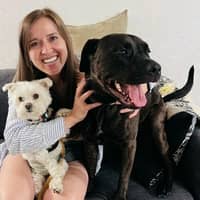 Sitter Profile Image: Elena P.