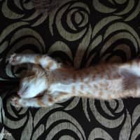 Foto del cuidador: Alison J.