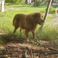 Foto del cuidador: Dari M.