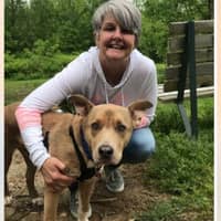 Sitter Profile Image: Tina G.