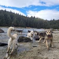 Sitter Profile Image: Kaycee C.