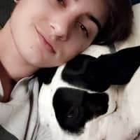 Sitter Profile Image: Desten F.