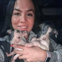 Sitter Profile Image: Daniela V.