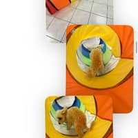 Sitter Profile Image: Suzy S.