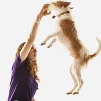 Sitter Profile Image: Kayla H.