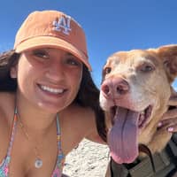 Sitter Profile Image: Courtney C.