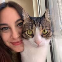 Sitterprofilbild: Beyzanur H.